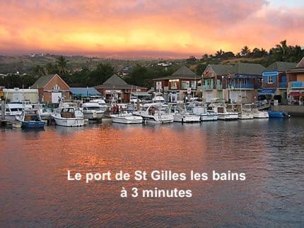 Prana Lodge Saint Gilles Les Bains 800 M De La Plage Eksteriør bilde